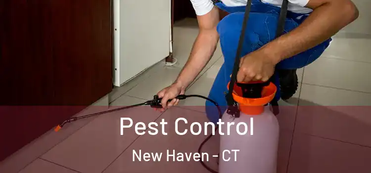 Pest Control New Haven - CT