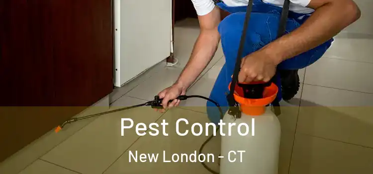  Pest Control New London - CT