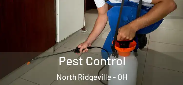 Pest Control North Ridgeville - OH