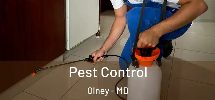 Pest Control Olney - MD