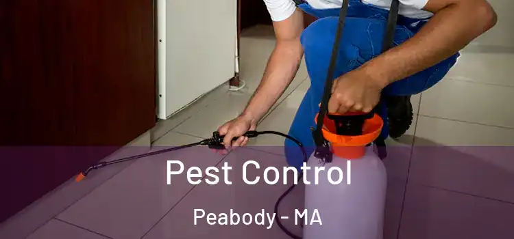  Pest Control Peabody - MA