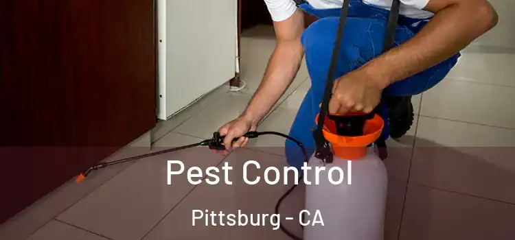  Pest Control Pittsburg - CA