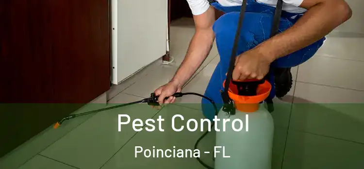  Pest Control Poinciana - FL
