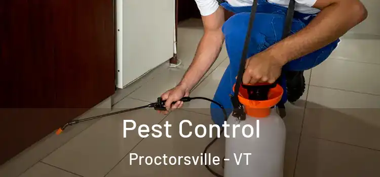  Pest Control Proctorsville - VT
