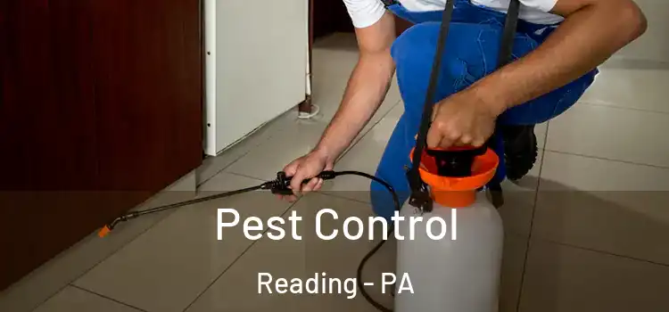 Pest Control Reading - PA