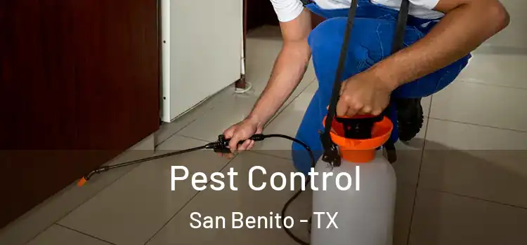  Pest Control San Benito - TX