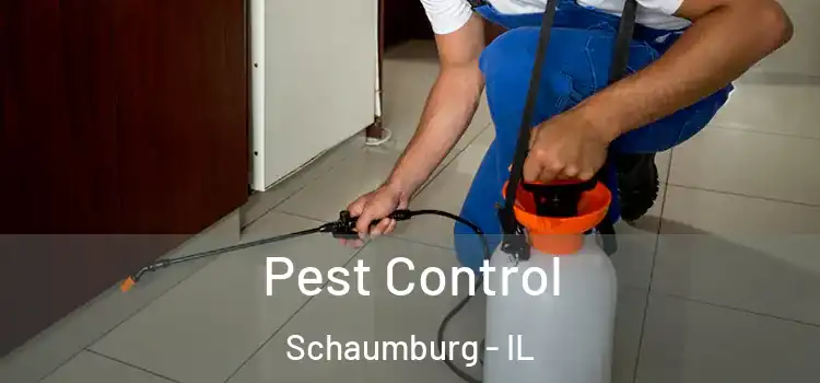 Pest Control Schaumburg - IL