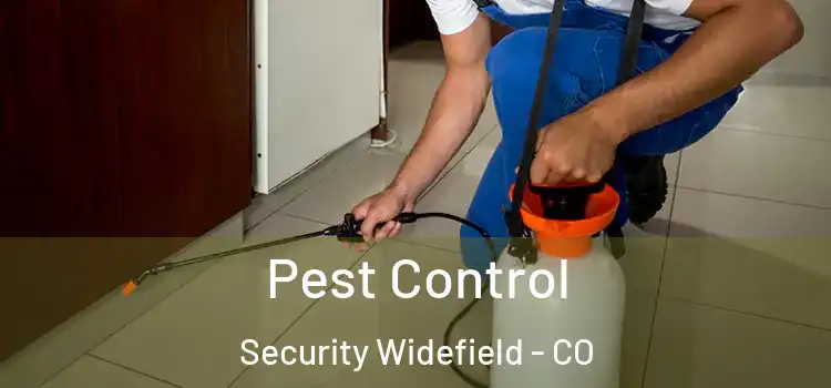  Pest Control Security Widefield - CO