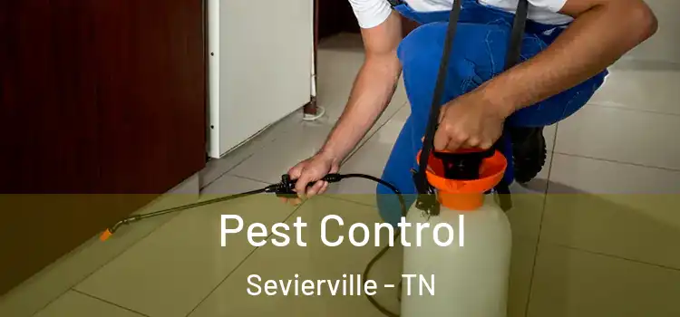  Pest Control Sevierville - TN