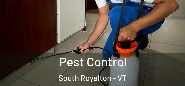  Pest Control South Royalton - VT