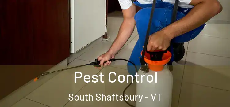  Pest Control South Shaftsbury - VT