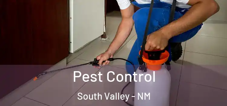  Pest Control South Valley - NM