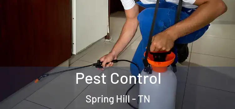  Pest Control Spring Hill - TN