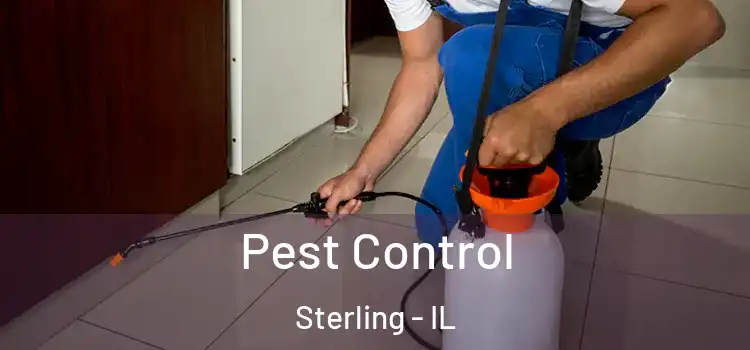 Pest Control Sterling - IL