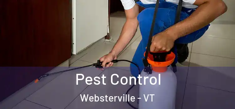  Pest Control Websterville - VT
