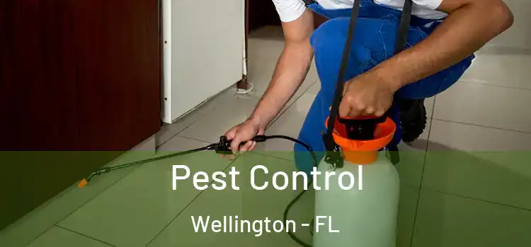 Pest Control Wellington - FL