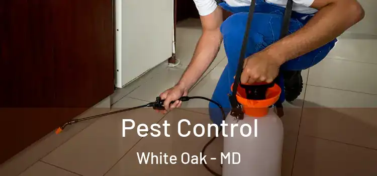 Pest Control White Oak - MD