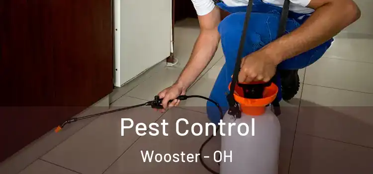 Pest Control Wooster - OH
