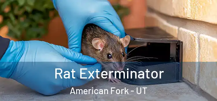  Rat Exterminator American Fork - UT