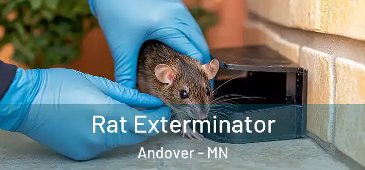 Rat Exterminator Andover - MN