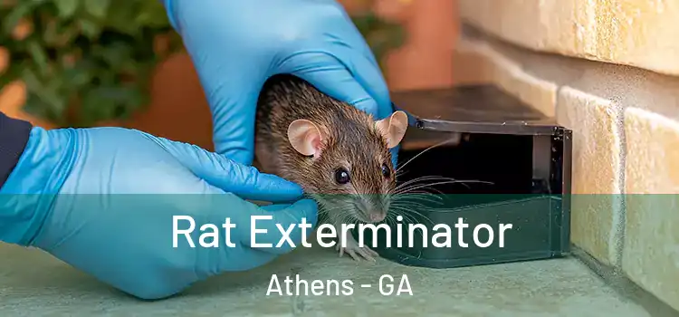  Rat Exterminator Athens - GA