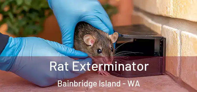  Rat Exterminator Bainbridge Island - WA