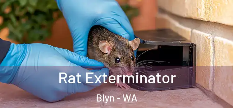  Rat Exterminator Blyn - WA