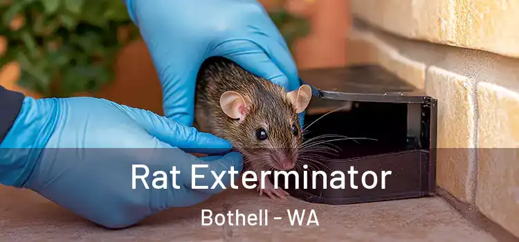  Rat Exterminator Bothell - WA