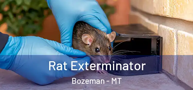  Rat Exterminator Bozeman - MT