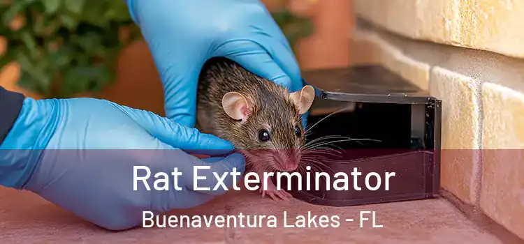  Rat Exterminator Buenaventura Lakes - FL