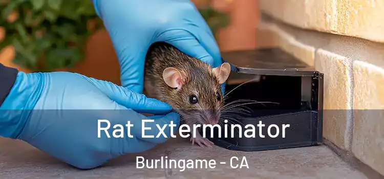  Rat Exterminator Burlingame - CA