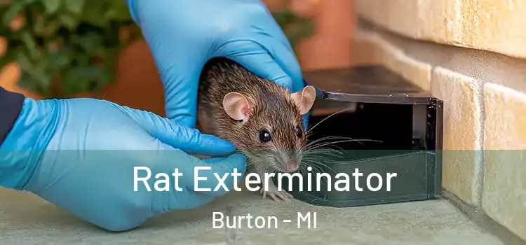  Rat Exterminator Burton - MI