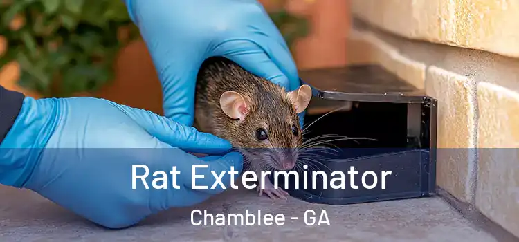 Rat Exterminator Chamblee - GA