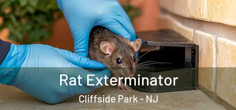 Rat Exterminator Cliffside Park - NJ