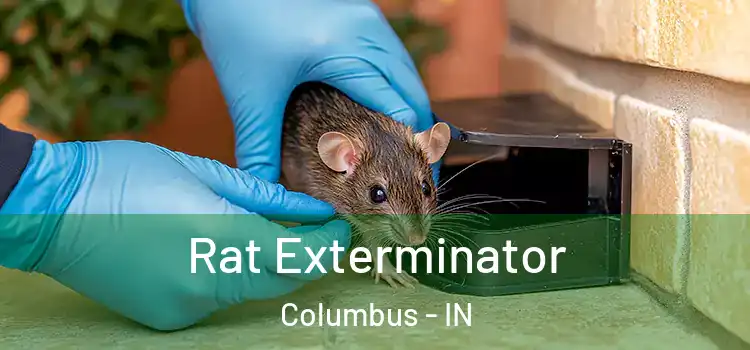 Rat Exterminator Columbus - IN