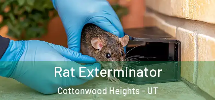  Rat Exterminator Cottonwood Heights - UT