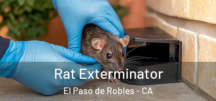 Rat Exterminator El Paso de Robles - CA