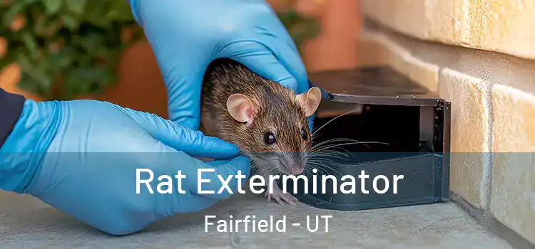  Rat Exterminator Fairfield - UT