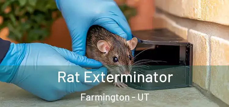  Rat Exterminator Farmington - UT
