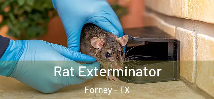 Rat Exterminator Forney - TX