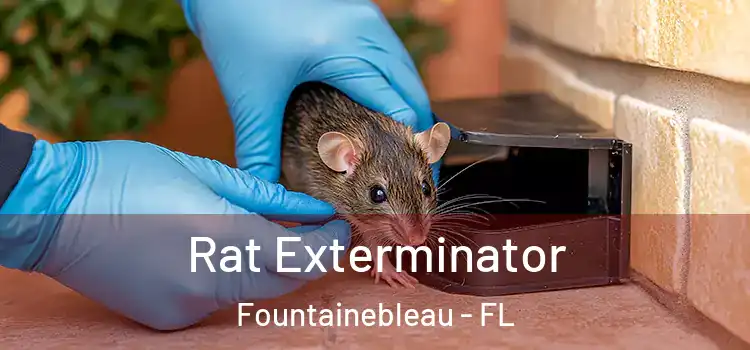 Rat Exterminator Fountainebleau - FL