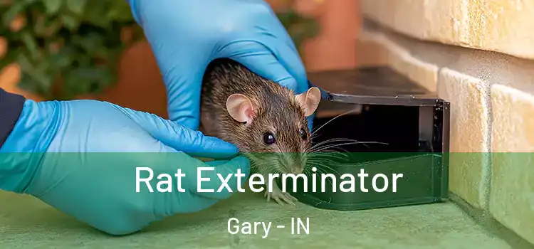  Rat Exterminator Gary - IN