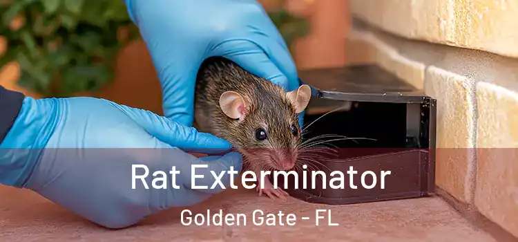 Rat Exterminator Golden Gate - FL
