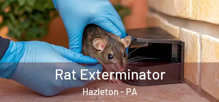  Rat Exterminator Hazleton - PA