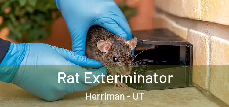  Rat Exterminator Herriman - UT