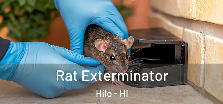Rat Exterminator Hilo - HI