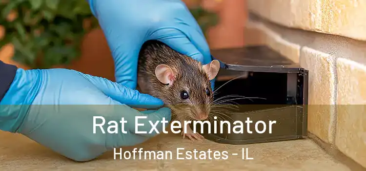  Rat Exterminator Hoffman Estates - IL