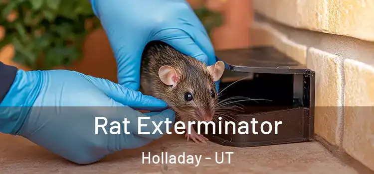  Rat Exterminator Holladay - UT