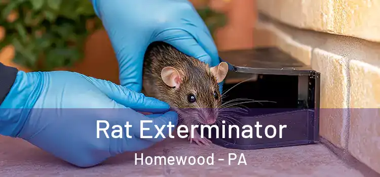  Rat Exterminator Homewood - PA