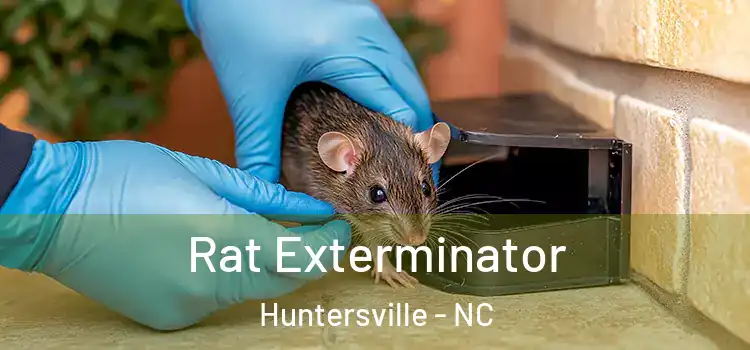 Rat Exterminator Huntersville - NC